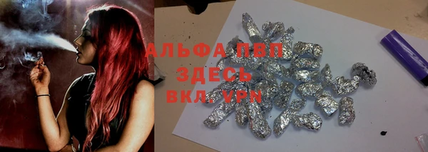 дурь Осташков