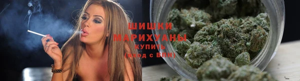 винт Переславль-Залесский