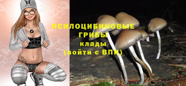 бутират Пересвет
