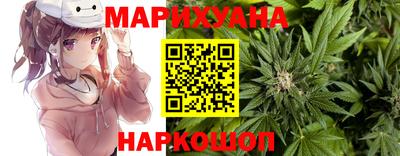 меф Гатчина