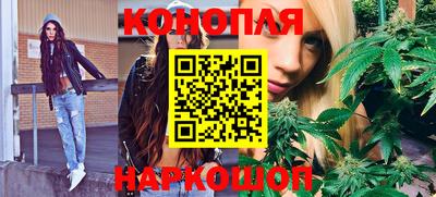 меф Гатчина