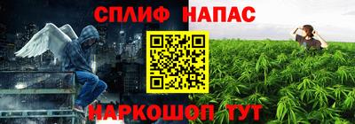 меф Гатчина