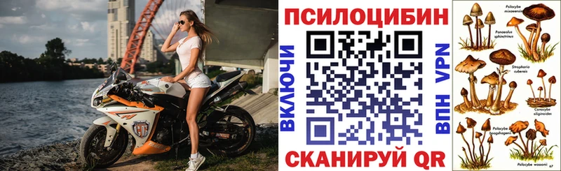 наркошоп  это клад  мега   Галлюциногенные грибы мухоморы  Тюмень 