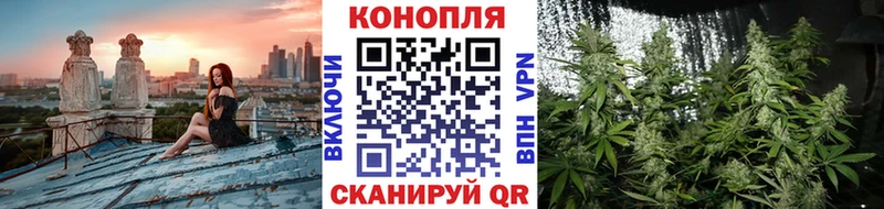 shop телеграм  Тюмень  блэк спрут рабочий сайт  Бошки Шишки Bruce Banner  закладка 
